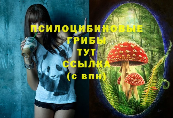 мяу мяу мука Заволжск