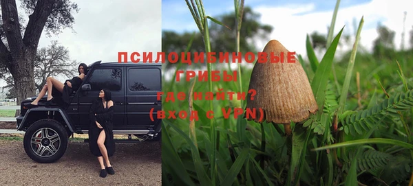 spice Заводоуковск