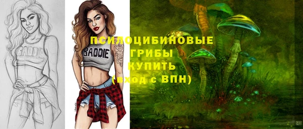 мяу мяу мука Заволжск