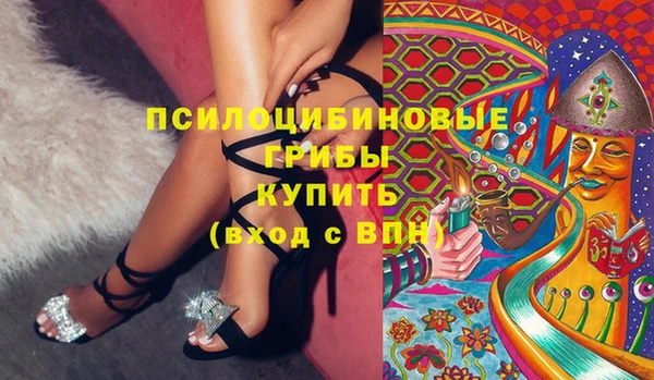 spice Заводоуковск