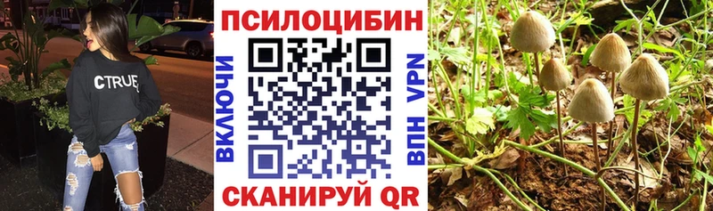 Купить закладки  Беломорск  Галлюциногенные грибы MAGIC MUSHROOMS 