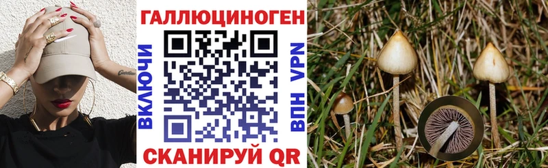 Галлюциногенные грибы Psilocybine cubensis Беломорск